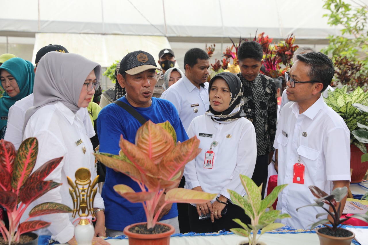 KAMPUNG BUNGA  DESA PURWOREJO 